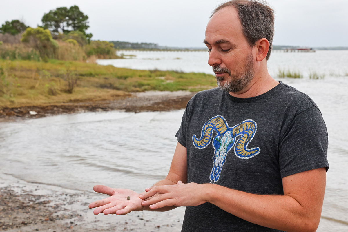 Other research has focused on ghost forests; parasite-host interactions; carbon cycling; the effects of the BP oil spill on salt marshes; and more. (Photo by John Wallace)